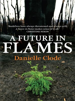 cover image of A Future In Flames